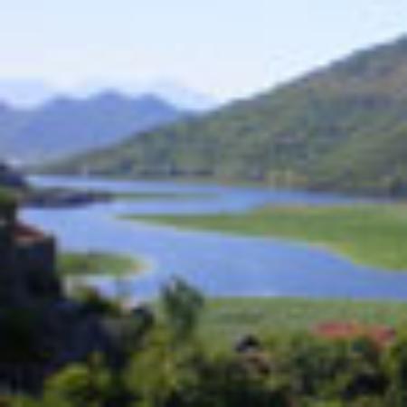 Pasticceria Il Paradiso del Dolce